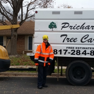 Photo of Prichard Tree Care