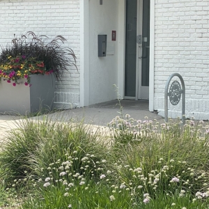 Photo of American Family Insurance - Dawn Bartell