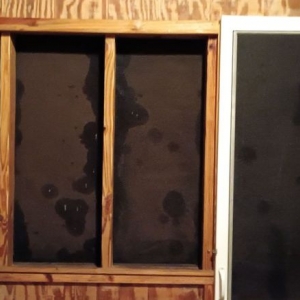 Photo of Pro Edge Painting