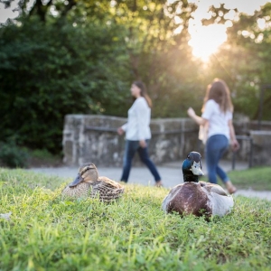 Photo of Loss of Life Advocates