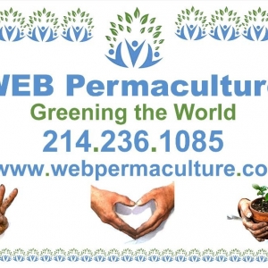 Photo of Web Permaculture