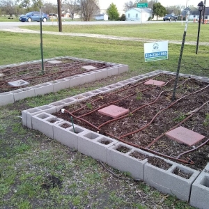 Photo of Web Permaculture