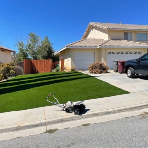 Photo of Green IQ Landscaping & Construction Services