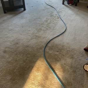 Photo of S5 Carpet & Tile Cleaning