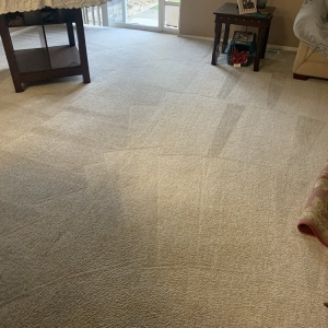 Photo of S5 Carpet & Tile Cleaning