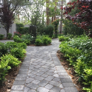 Photo of Clean & Green Landscape