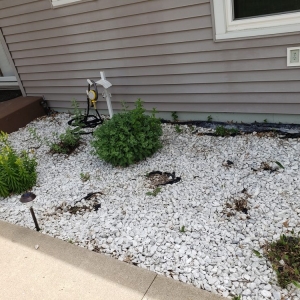 Photo of Price & Sons Lawn and Patio Landscaping