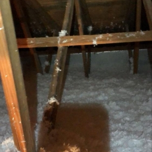 Photo of A Plus Attic Services