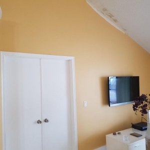 Photo of Vice City Painting