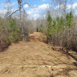 Photo of Cothren Construction, Tree & Land Management