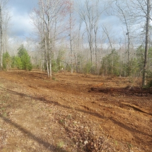 Photo of Cothren Construction, Tree & Land Management