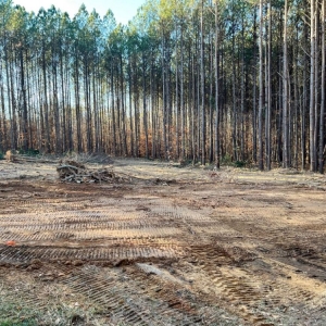 Photo of Cothren Construction, Tree & Land Management