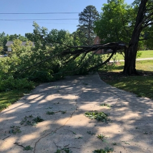 Photo of Cothren Construction, Tree & Land Management