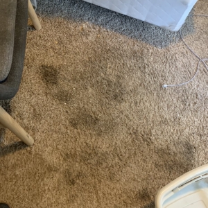 Photo of Cleaning Associates