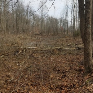 Photo of Midwest Site Solutions