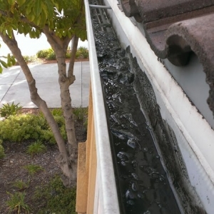 Photo of Blue Diamond Window Cleaning & Pressure Washing