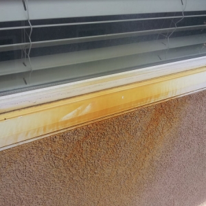 Photo of Blue Diamond Window Cleaning & Pressure Washing