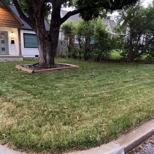 Photo of Irish Green Lawn Care