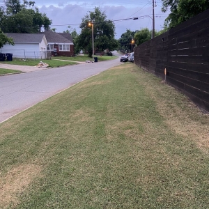 Photo of Irish Green Lawn Care