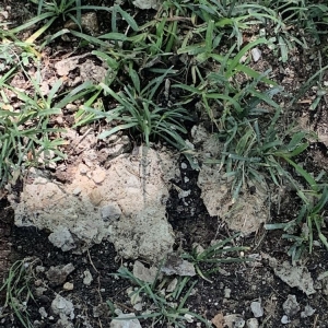 Photo of Pro Quality Concrete