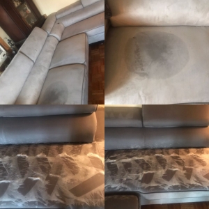 Photo of Green Solutions Carpet