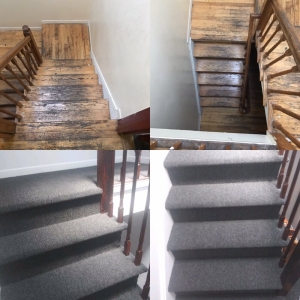 Photo of Green Solutions Carpet