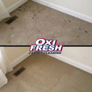 Photo of Oxi Fresh Carpet Cleaning