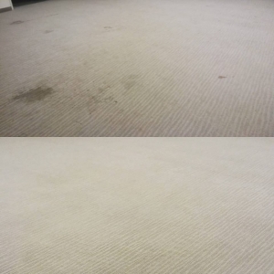 Photo of Fibertech Pro