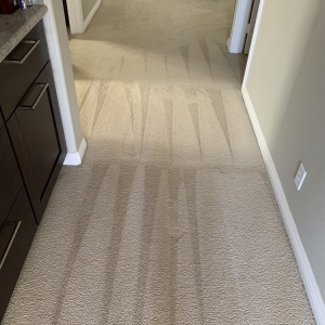 Rancho Santa Margarita Colorburst Carpet Care