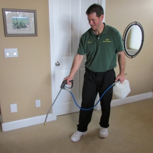 Photo of A+ Carpet Cleaning