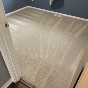 Photo of A+ Carpet Cleaning