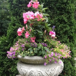 Villa Park Laslo Landscaping