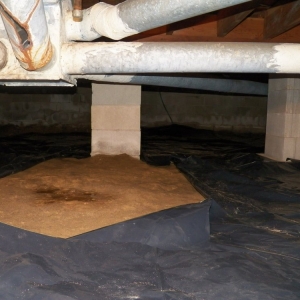 Photo of Northwest Crawl Space Repair