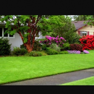 Photo of Jose's Lawn Care