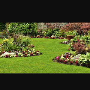 Photo of Jose's Lawn Care