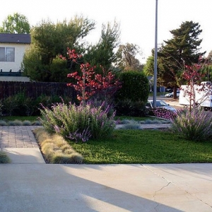 Photo of Living Art Designs