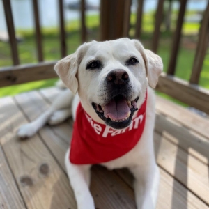 Photo of Barry Johnson - State Farm Insurance Agent