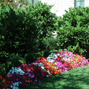 Photo of Joe & Tony Landscaping