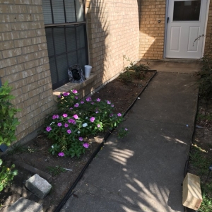 Houston Roque's Custom Landscaping