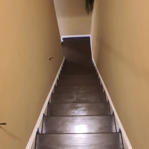 Photo of Matt's HandyScape Services