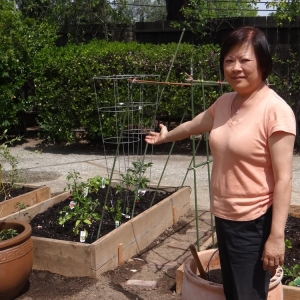 Photo of We Start Gardens