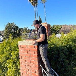 Photo of Royal Cleaning Service