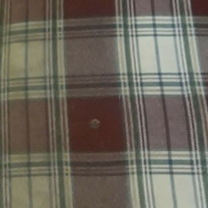 Photo of Carpet Cleaners Plus