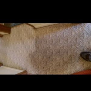 Photo of Carpet Cleaners Plus