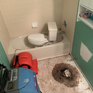 Photo of Texas Water Restoration