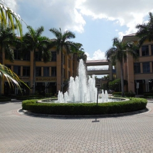 Photo of Florida Management & Consulting Group