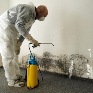 Photo of Aurora Restoration Experts
