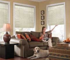 Photo of Verticals, Blinds & Shades