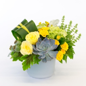 Photo of Allen's Flowers & Plants - San Diego