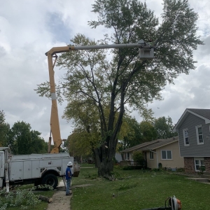 Photo of Pitts Lawn & Tree Service